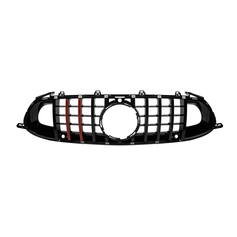 MERCEDES BENZ GT AMG W290 